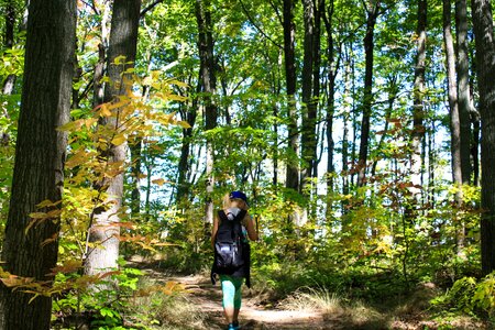 Nature girl trekking photo