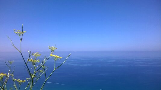 Calabria nature space