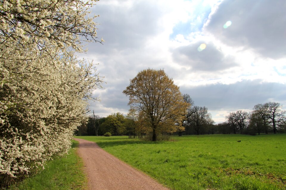 Road field sun