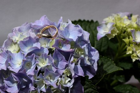 Gold ring flower wedding rings