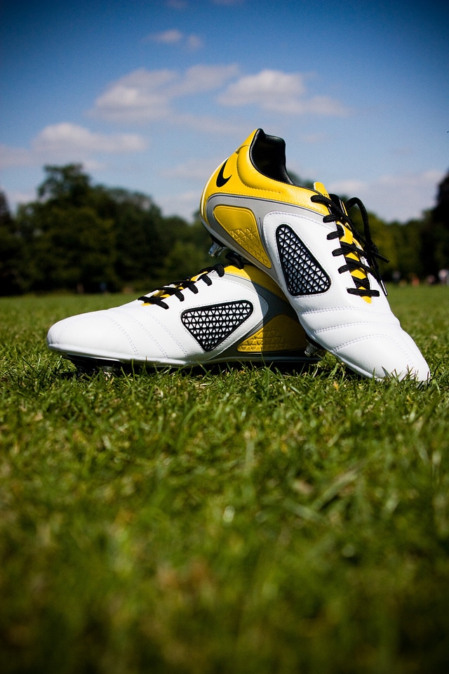 Sport field grass