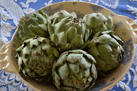 Artichoke vegetable scale