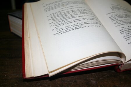 Law book page