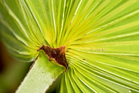Nature exotic paradise