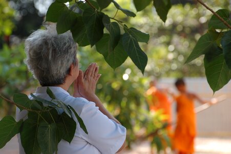 Buddhist temple elderly photo