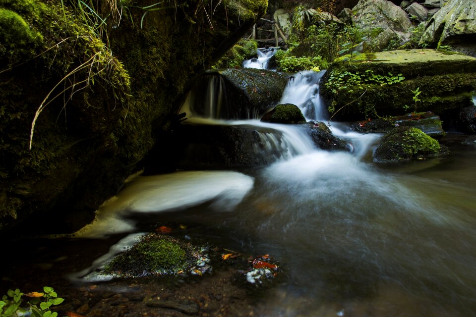 Cove autumn flowing water