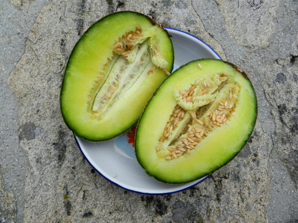 Melon fruit dessert