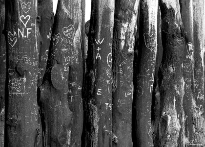 Breakwater st malo wood