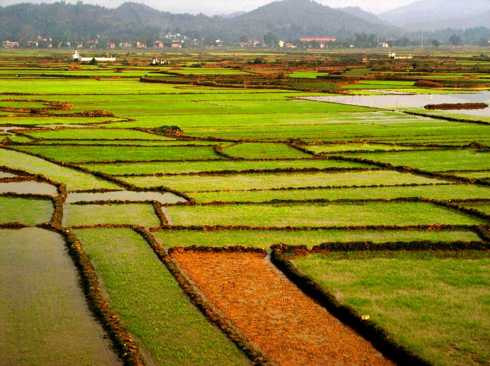 Tropical vietnam asia photo