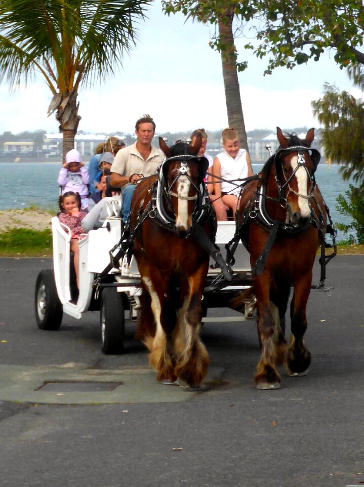 Transportation travel tourism