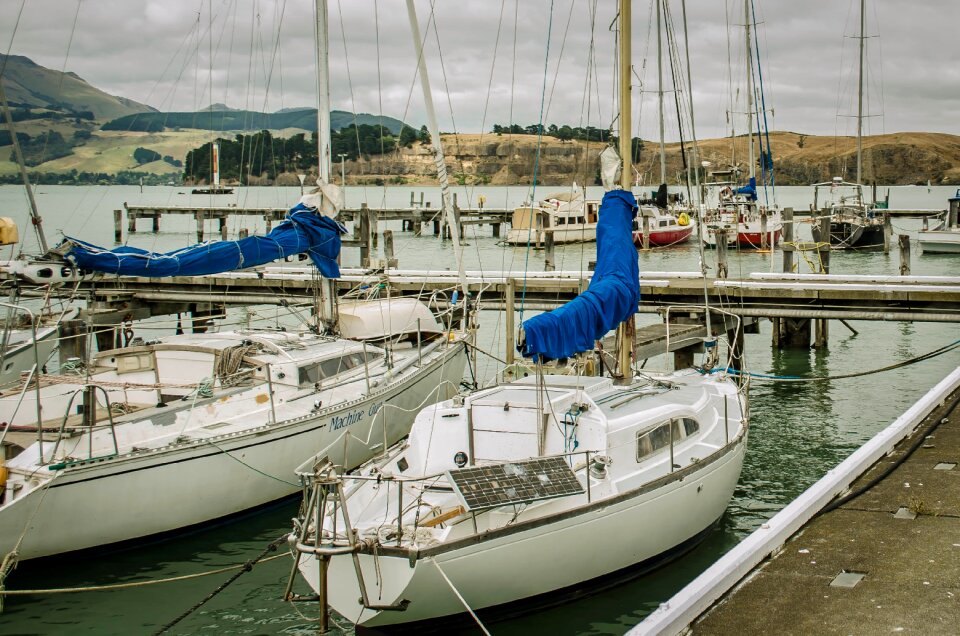 Landscape nature sailboats