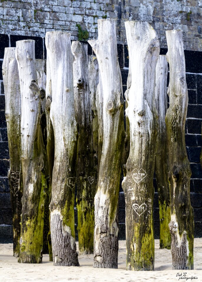 St-malo saint malo wood