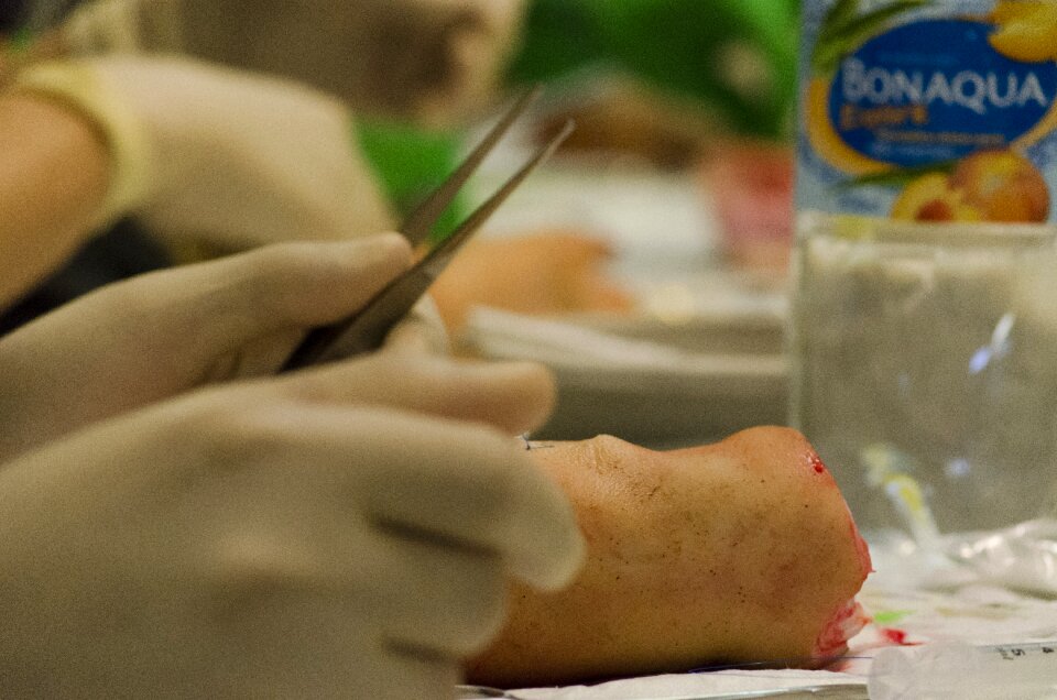 Medical science university surgery