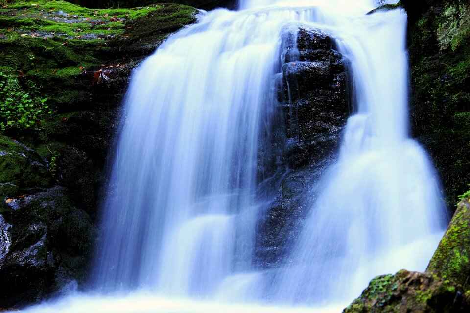 Flowing water rock moss