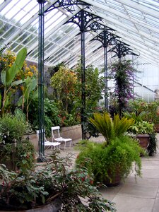 Hothouse horticulture nursery