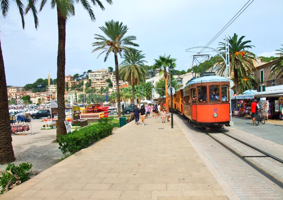 Promenade tram palm trees