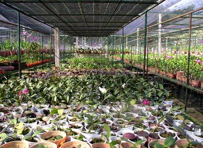Plants environment farm