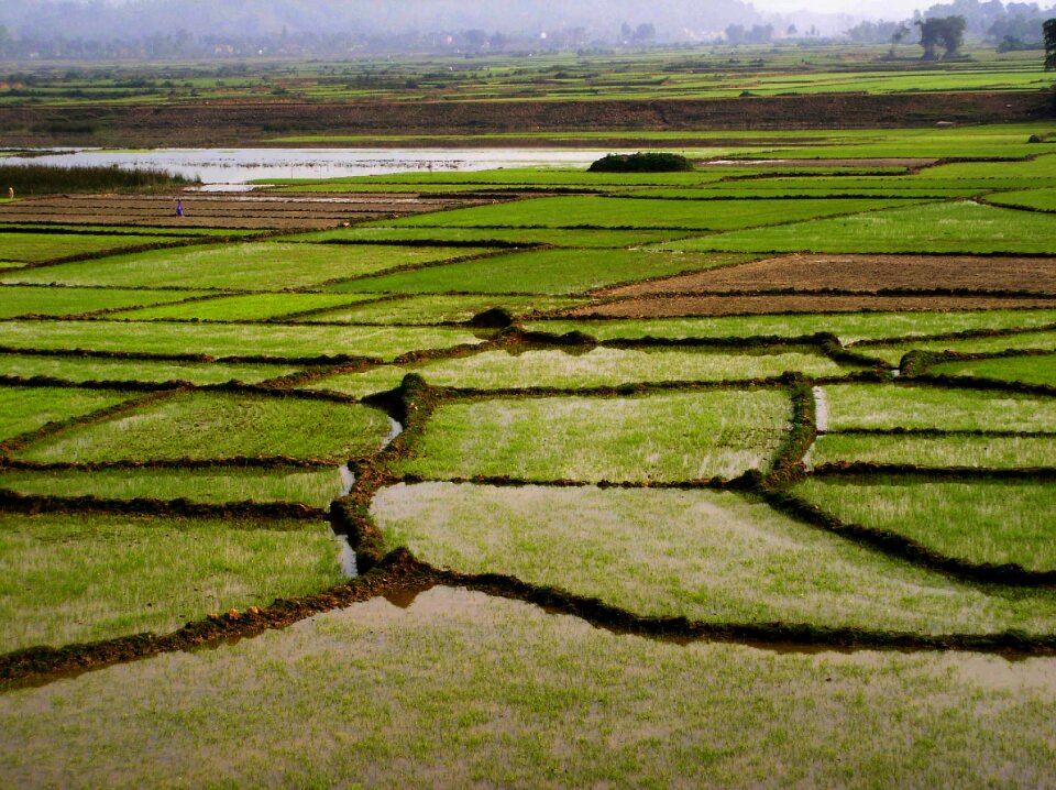 Tropical vietnam asia
