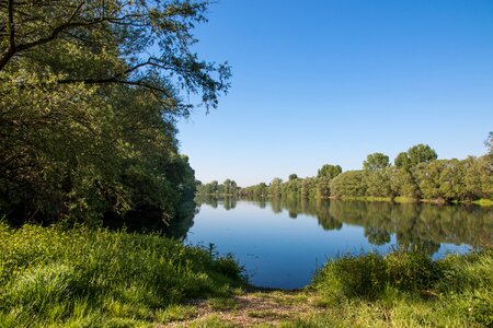 River old rhine green