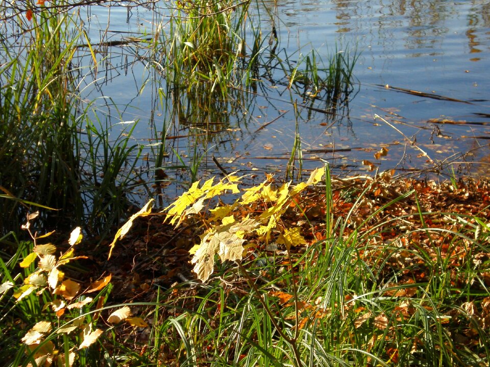 Water landscape lake