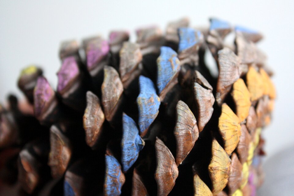 Wood colorful texture