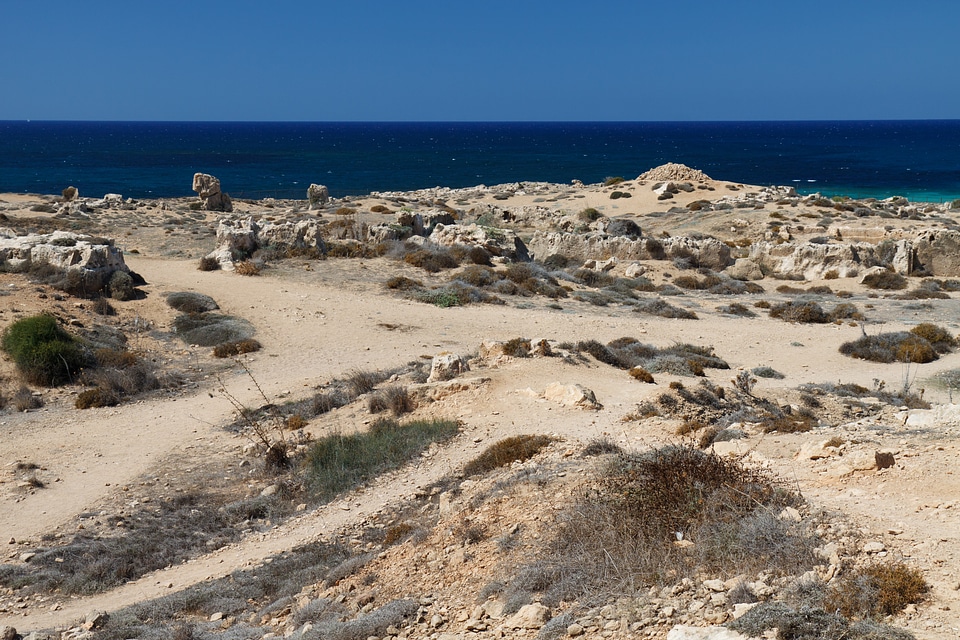 Dry grass landscape photo