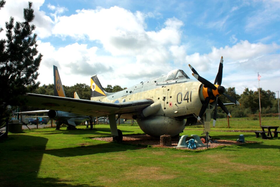 Navy gannet military
