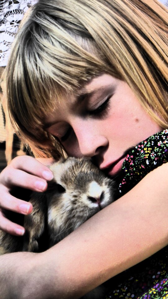 Animal pet love