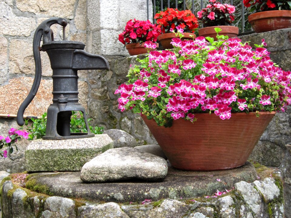 Plants source gardens