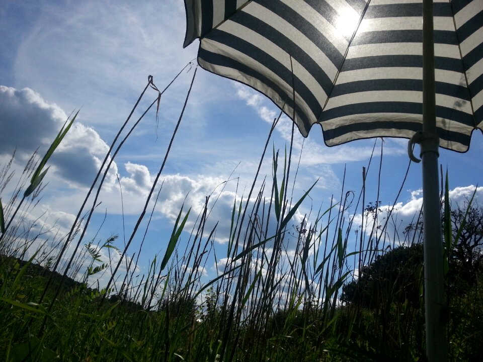 Blue summer clouds