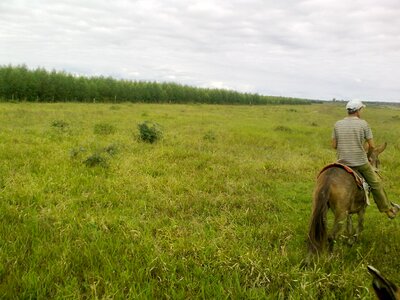 Cowboy pasture landscape photo