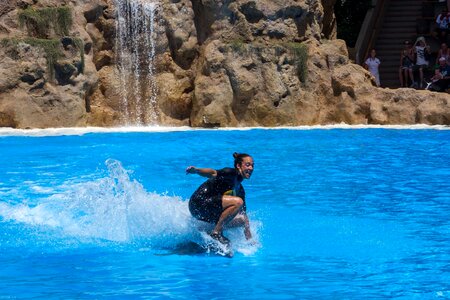 Dolphin show water