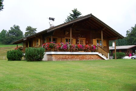 Green wood baita