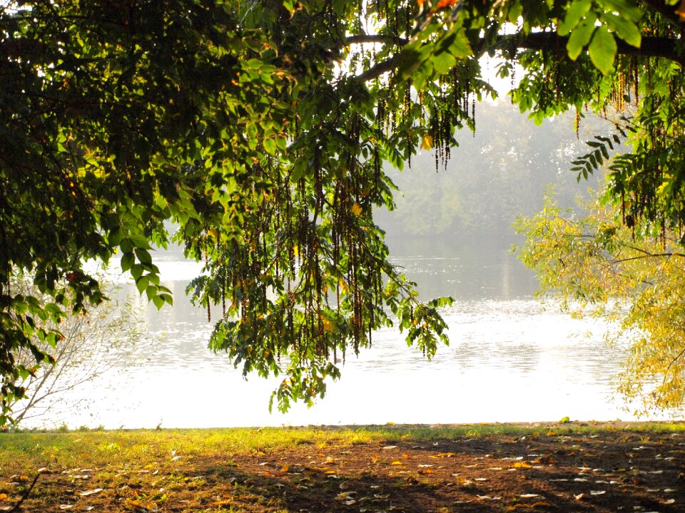 Bank river morgenstimmung