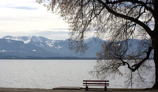 Bank lake view alpine photo