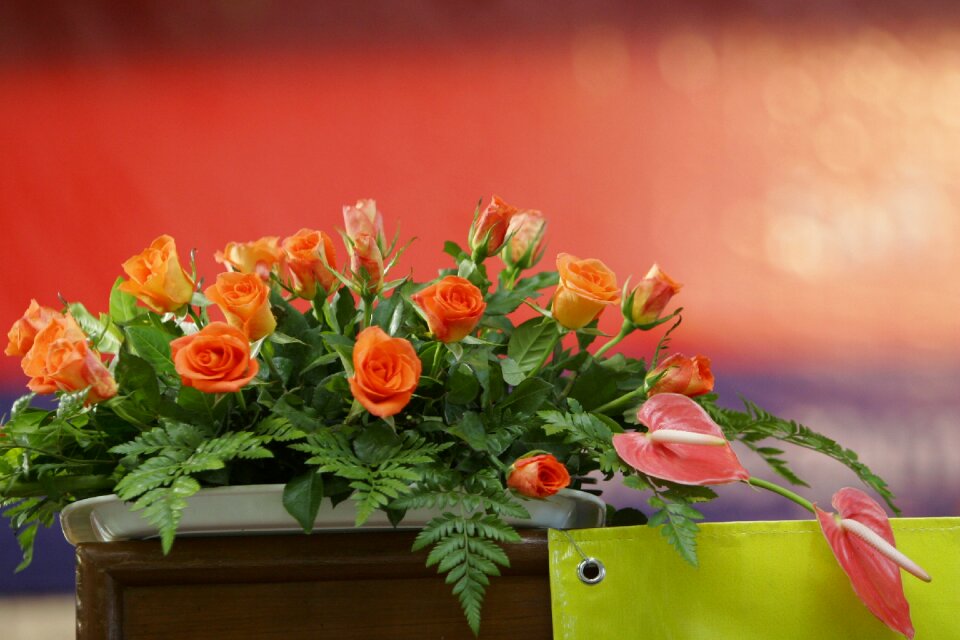 Blossom decoration red