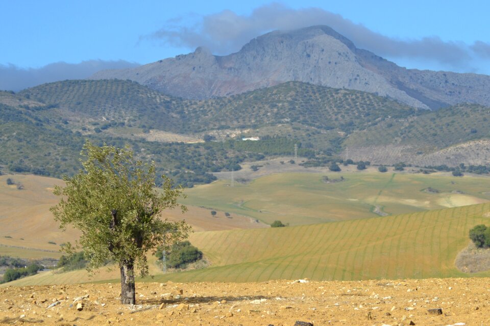 Landscape nature mediterranean