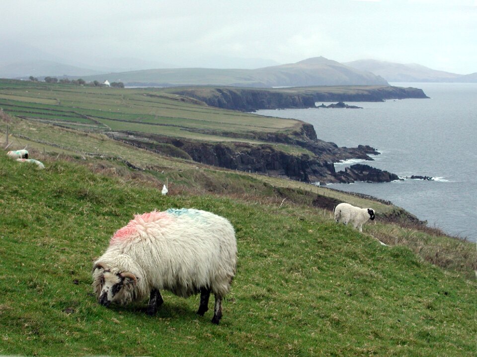 Landscape bay sea
