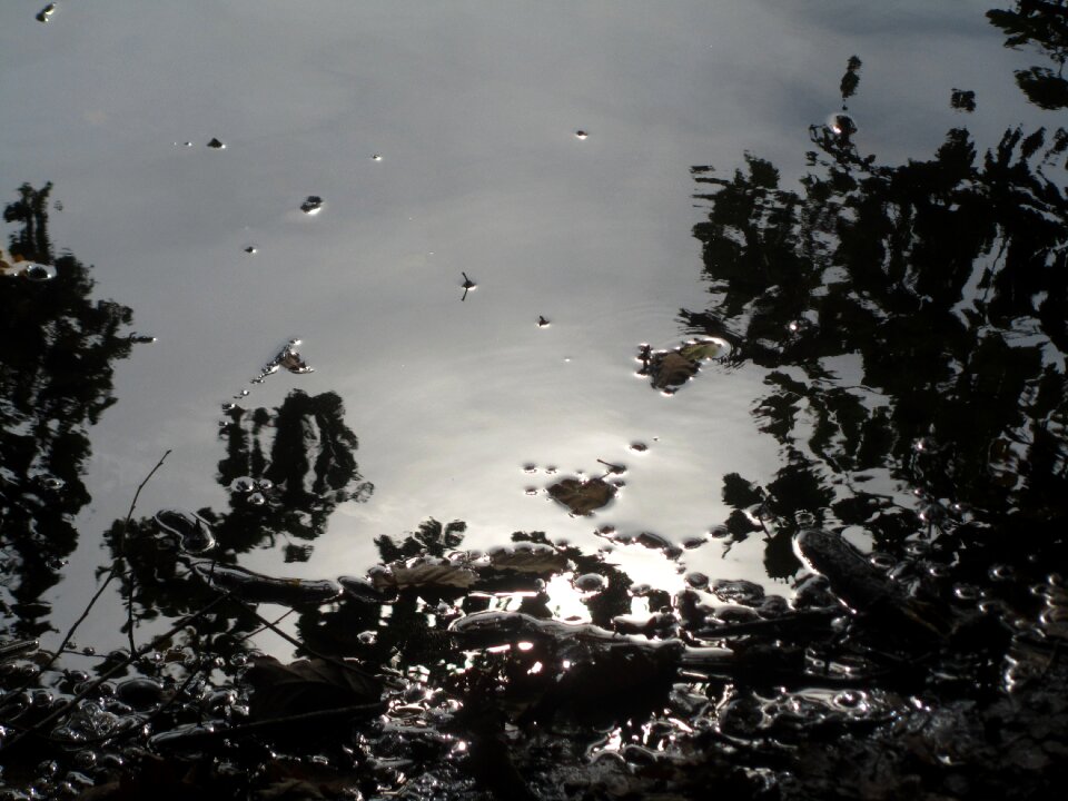 Nature mirroring waters