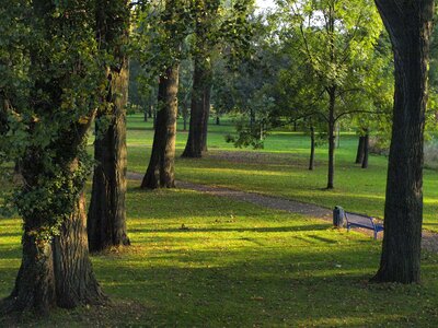 Main main meadows main banks