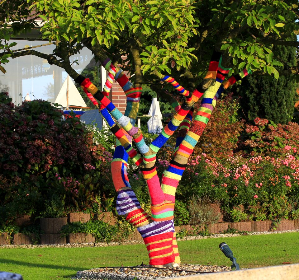 Wool knitted colorful