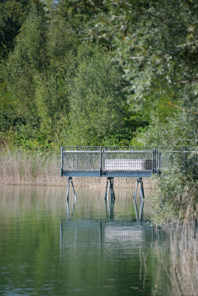 Sea nature bridge