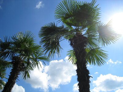 Clouds sky exotic