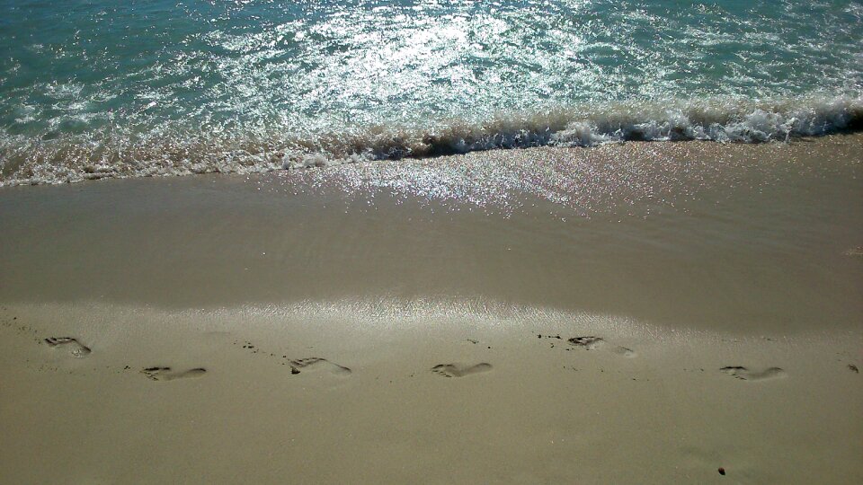 Beach sea coast photo