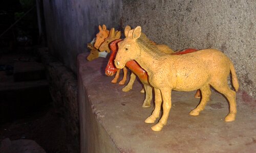 Horse sheep goat