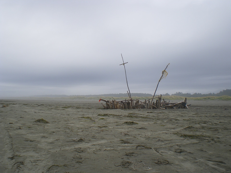 Driftwood drift wood photo