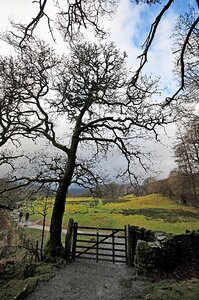 Cumbria water nature