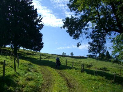 Rise allgäu green