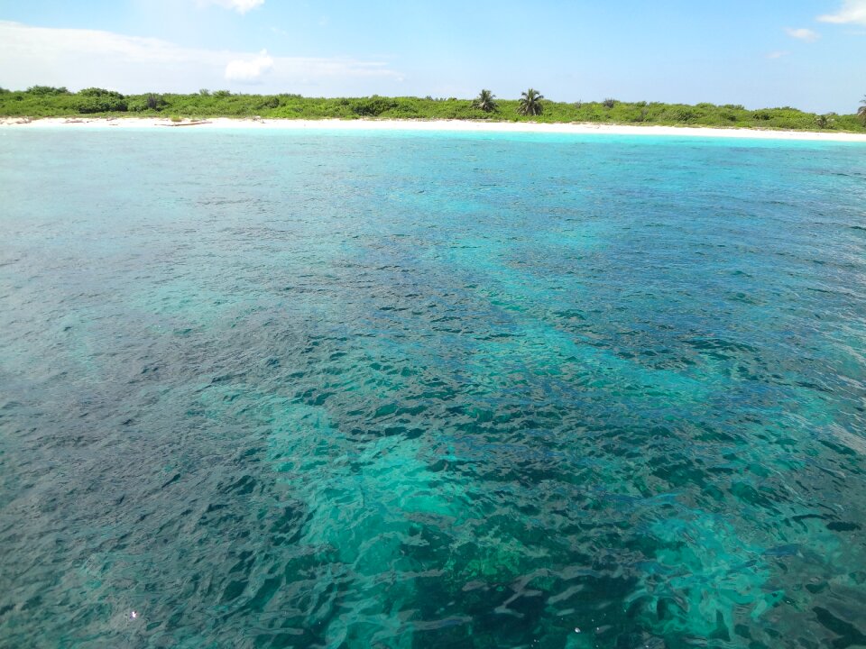 Vacation shore coastline