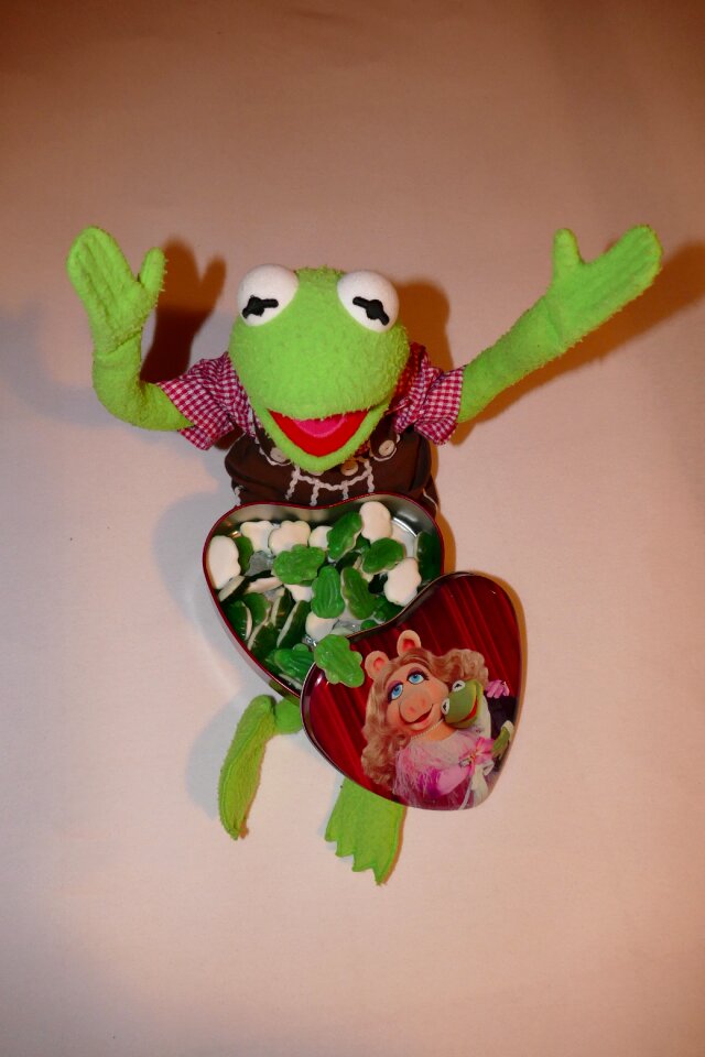 Gummibärchen rubber frogs box